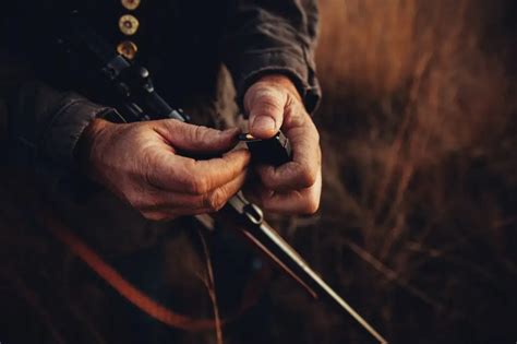 13 Best Hunting Quotes For The Ethical Hunter (2024).